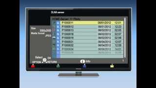 Panasonic VIERA  How to use DLNA and Media Player on your VIERA Television [upl. by Emmeline]