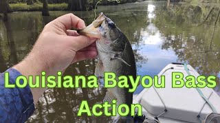 Louisiana Bayou Bass [upl. by Terris]