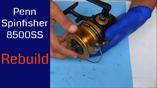 Rebuild of a Penn Spinfisher 8500SS Fishing Reel Repair [upl. by Evadne]