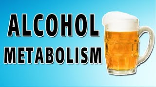 Mechanism of Alcohol [upl. by Veal592]