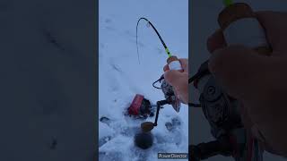 BIG LAKE TROUT ICE FISHING [upl. by Hgielrahc]