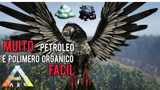 Onde encontrar muito petroleo e polimero organicoArk survival evolved [upl. by Robena106]