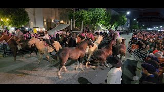 PASEO GAUCHO  DESFILE DE DELEGACIONES TROPILLAS EMPRENDADOS PAYADORES [upl. by Artemahs]