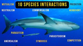 10 Species Interactions in Ecosystem with ExamplesEcology 6 Minutes [upl. by Euqnom]