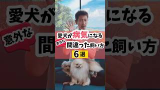 愛犬が病気になる〈意外な〉間違った育て方dog 犬のしつけ 犬のいる暮らし [upl. by Anaeed71]