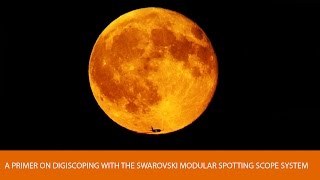 A Primer on Digiscoping with the Swarovski Modular Spotting Scope System [upl. by Emili]