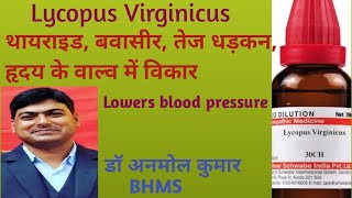 Lycopus Virginicus Q30200Heart RemedyPilesThyroidथायराइडबवासीर हृदय रोगDr Anmol [upl. by Aicaca724]