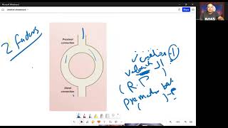 Tachyarrhythmias 1 AVNRT l AVRT kasr alainy شرح [upl. by Emory]