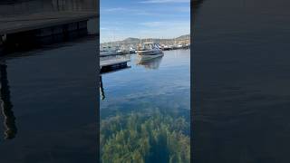 Okanagan Lake Kelowna BC shorts shortvideo lake okanaganlake [upl. by Eriuqs]