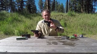 Concealed carry 380 ACP ammo selection [upl. by Oram]