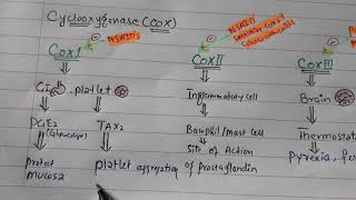 NSAID Pharmacology introduction [upl. by Ierbua]