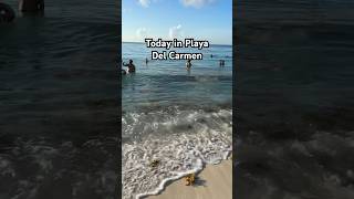 Today Playa Del Carmen Sargasso travel adventure explore tourism popularsong [upl. by Nallak315]