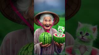 Green Cats Wild Watermelon Journey🍉 cats catlover cutecats [upl. by Htebazileyram]