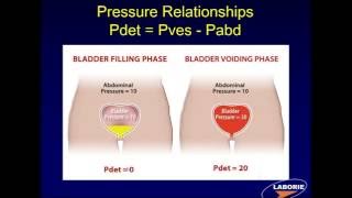 LABORIE Webinar Series Components of Urodynamic Testing [upl. by Aysab]