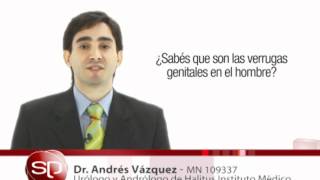 Verrugas genitales HPV en el hombre  Dr Andrés Vazquez [upl. by Katlin]