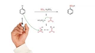 Sulfonation of benzene [upl. by Waynant]