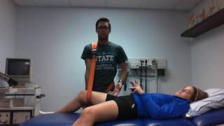 Alternate AnteriorPosterior Hip Maitland Mobilization [upl. by Eisso]