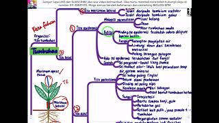 BIOLOGI KSSM T5 Bab 1 Organisasi Tisu Tumbuhan dan Pertumbuhan Bahagian 1 [upl. by Simonne349]