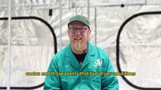 Tips From The Tent 7  Perlite vs Vermiculite Which One Does Your Garden Really Need [upl. by Brita]