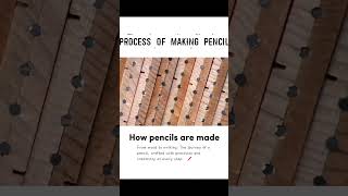 How pencils are made ✏️ pencil process factory [upl. by Riocard505]