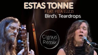 Estas Tonne feat Peia Luzzi  Birds Teardrops Cignus Remix [upl. by Ahsinut443]