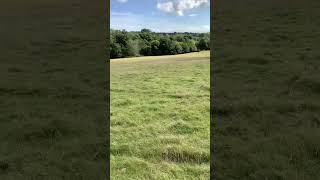 THIS IS THE 1066 BATTLE OF HASTINGS BATTLEFIELD Today Battle Abbey William the Conqueror [upl. by Bartholomeo351]