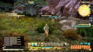 FF14 Realm Reborn Mining Leveling Guide Basic [upl. by Friedland]