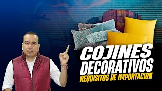 Los Requisitos de Importación de los Cojines Decorativos  Ecommerce  Logística  SG [upl. by Jarred]