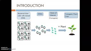 LECTURE6 RDT TRANSGENIC PLANTSBASIC INTRODUCTION [upl. by Leuams]