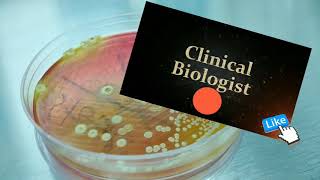 XLD agar E Coli Selective Differential Media [upl. by Colline647]