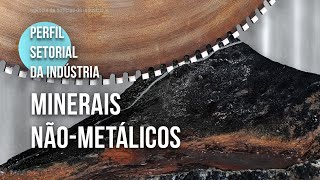 Conheça o setor de produtos de minerais nãometálicos  2024 [upl. by Milford884]