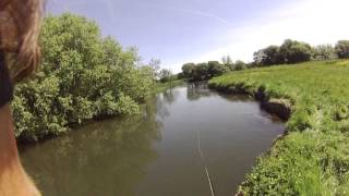 Sea Trout On The Dropper Fly [upl. by Aikaj]