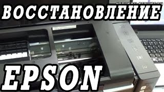 Что делать если не печатает принтер Epson L800 Щадящее восстановление за 4 дня [upl. by Repmek]