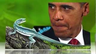 Meet Obamadon the Lizard Name for the President [upl. by Odlanra644]