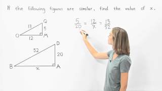 Similar Triangles  MathHelpcom [upl. by Atiuqiram]