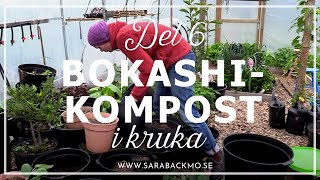 Bokashi del 6 Krukor fyllda med bokashikompost [upl. by Idahs]