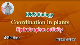 hydrotropism activity in 10thclass full explanation video [upl. by Aivil533]