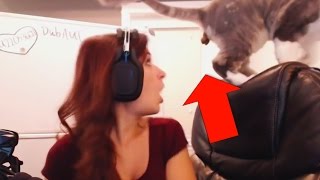 10 Most Embarrassing Moments Caught Live On Twitch [upl. by Button]