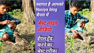 Nasiya blog is livefunnytrendingeagleeagleattitudeNasiya blog [upl. by Milstone]