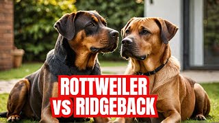 Rottweiler vs Rhodesian Ridgeback  Whos the Ultimate Guard Dog Dog Breeds  Guard Dogs [upl. by Dunston430]