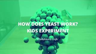 Yeast Food Science Experiment for Kids [upl. by Rennold]