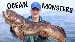 Catching GIANT Lingcod With Live Bait Vancouver Island [upl. by Bartram]