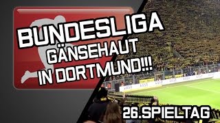 BVBFans zollen verstorbenem Anhänger Respekt  Highlights 26 Spieltag  FußballBundesliga [upl. by Yrahcaz76]