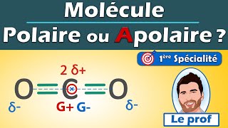 POLAIRE ou APOLAIRE  💡 méthodologie  molécule de dioxyde de carbone CO2  Physique Chimie  Lycée [upl. by Evslin]