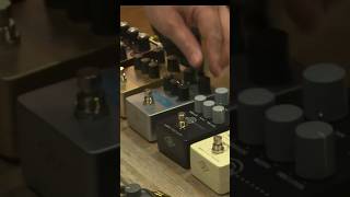 UA 1176 Studio Compressor Pedal in action universalaudio [upl. by Rheba531]