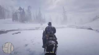 RED DEAD REDEMPTION 2 STREAM 2 CHEATS ENABLED NO COMMENTARY PS4PRO [upl. by Yssenhguahs]