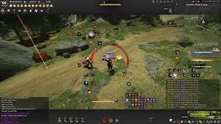 BDO CLIP 16  Elu vs Despair mapper [upl. by Teage270]