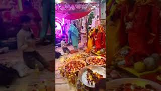 tulsi vivah at Radha Krishna Mandir Palampur [upl. by Huang]