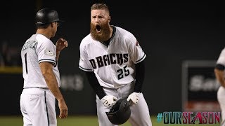 Arizona Diamondbacks 2017 Season Highlights [upl. by Cirdec]