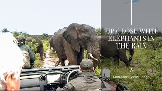 Up Close with Elephants  Monwana Game Lodge  Thornybush Nature Reserve  South Africa [upl. by Cindi]